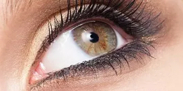 Lashlifting